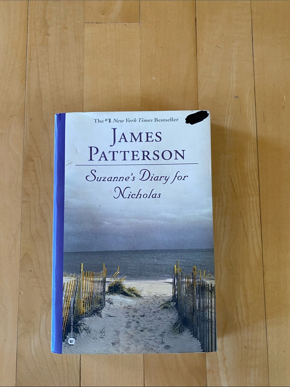 James Patterson "Suzanne's Diary for Nicholas" Paperback - Blue/Beige